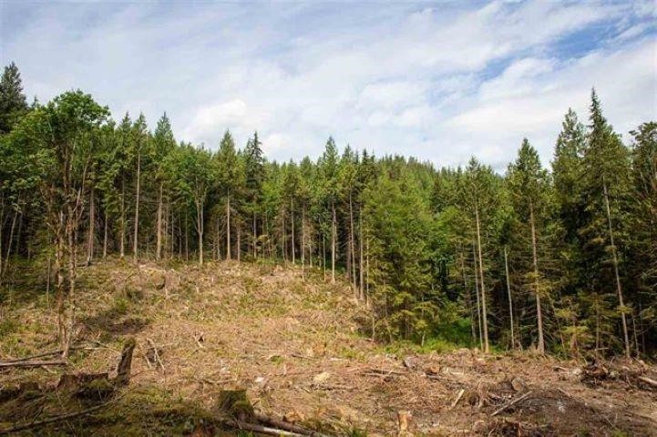 11533 Wilson Street, Mission, BC