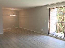 413-8880 202 Street Langley, BC V1M 4E7