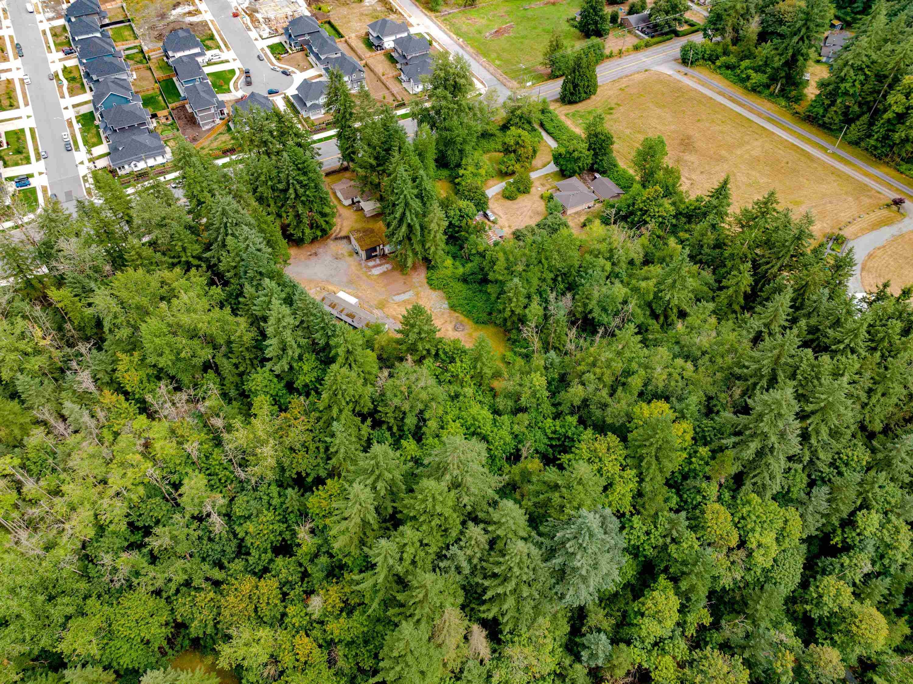 3381 208 Street, Langley, BC