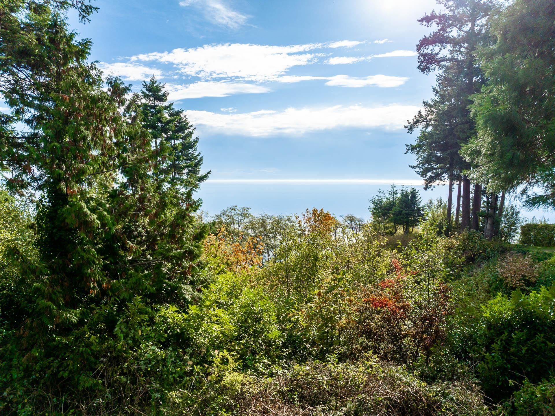 13536 13A Avenue, Surrey, BC