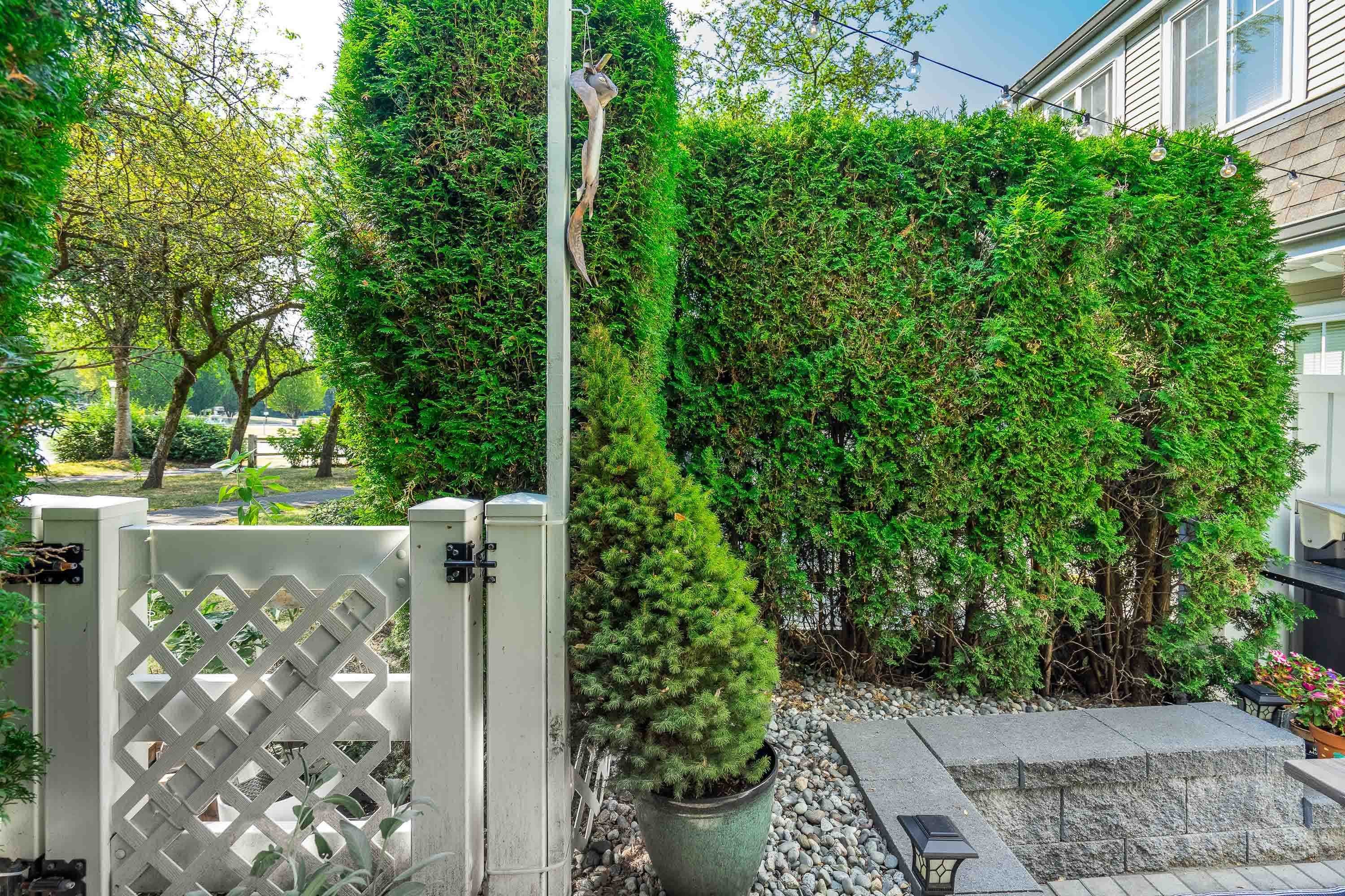 5-8930 Walnut Grove Drive, Langley, BC