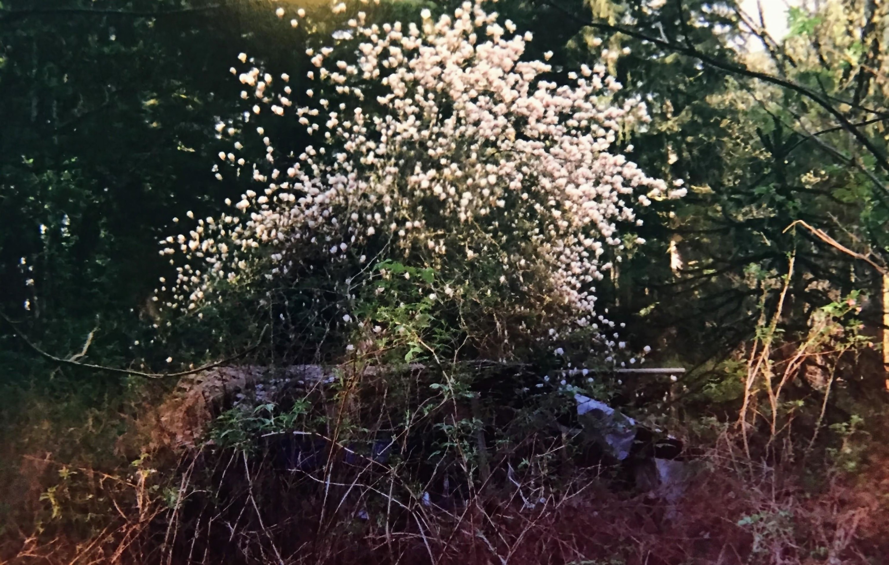 36161 Ridgeview Road, Mission, BC