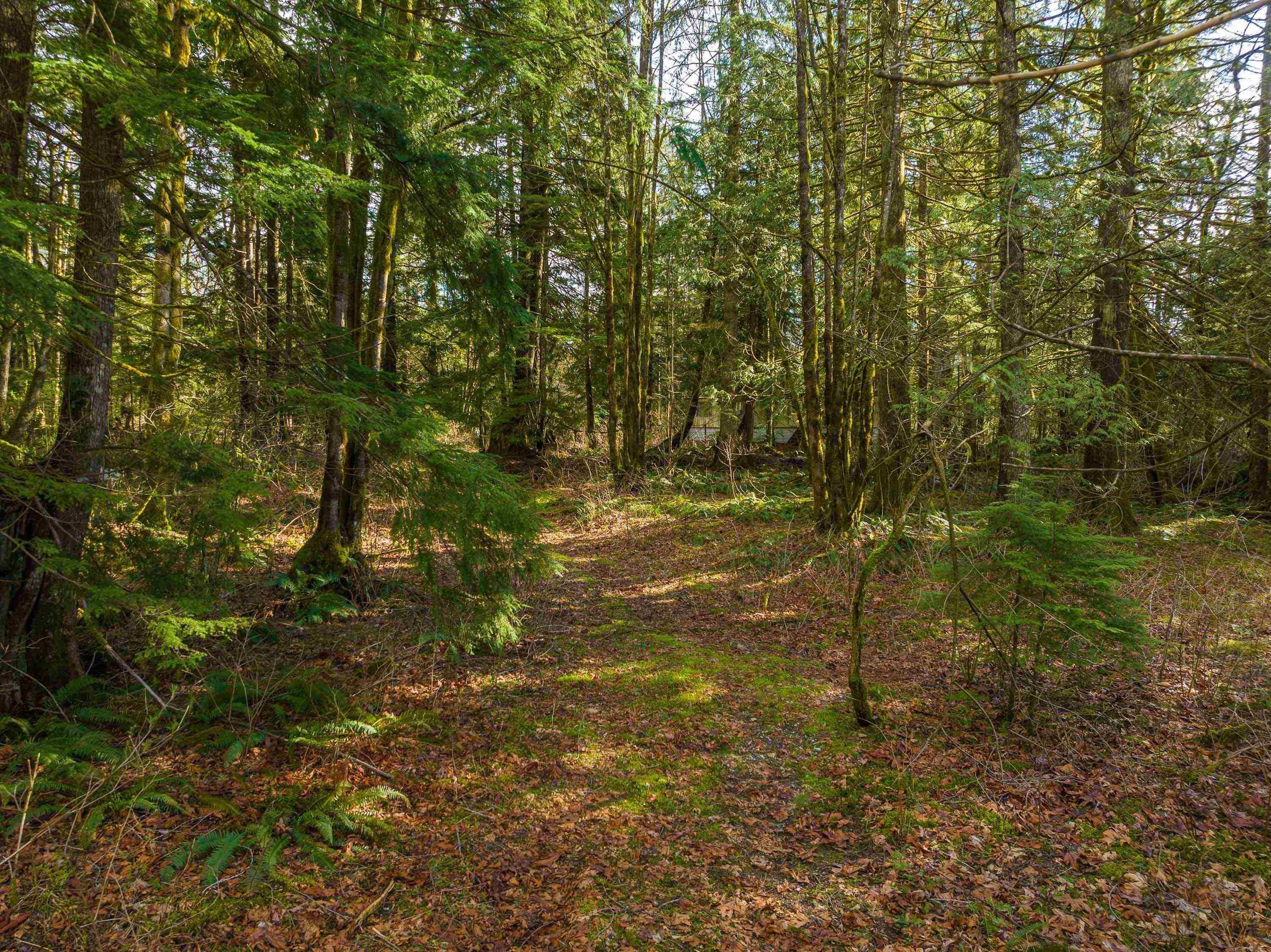 36161 Ridgeview Road, Mission, BC