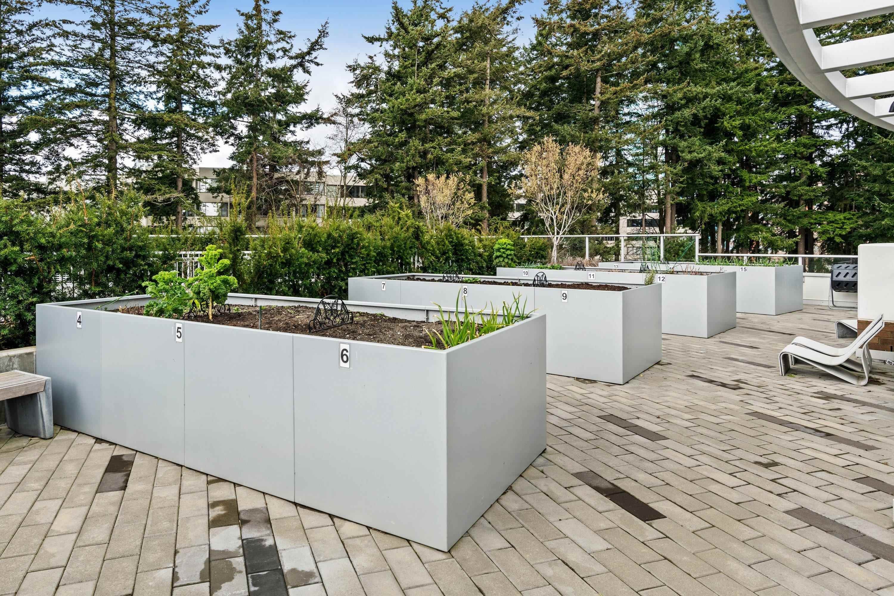 315-15165 Thrift Avenue, White Rock, BC