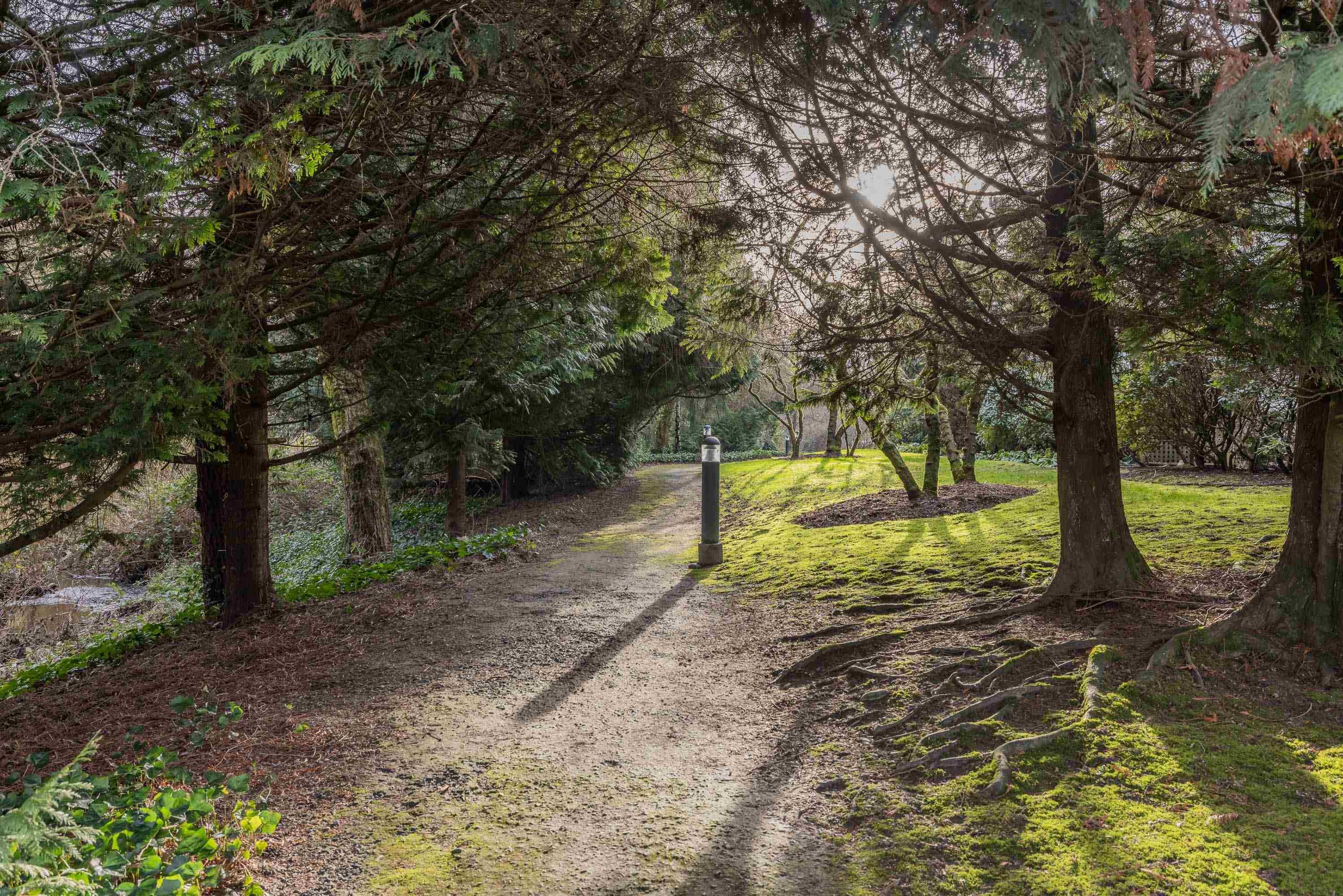 261-27358 32 Avenue, Langley, BC