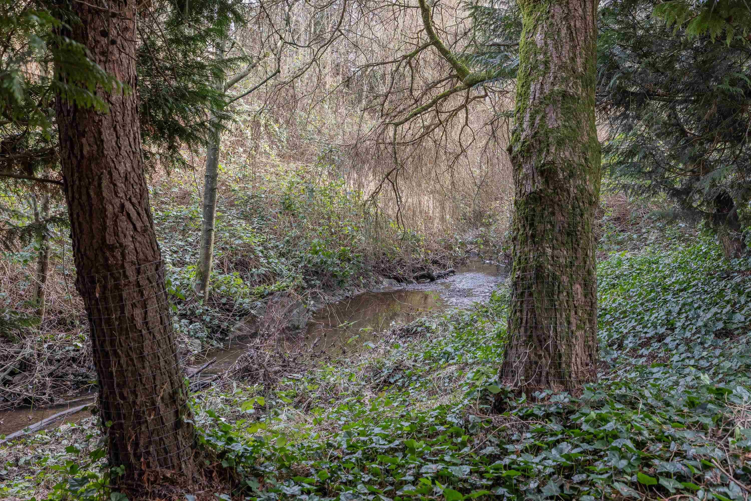 261-27358 32 Avenue, Langley, BC