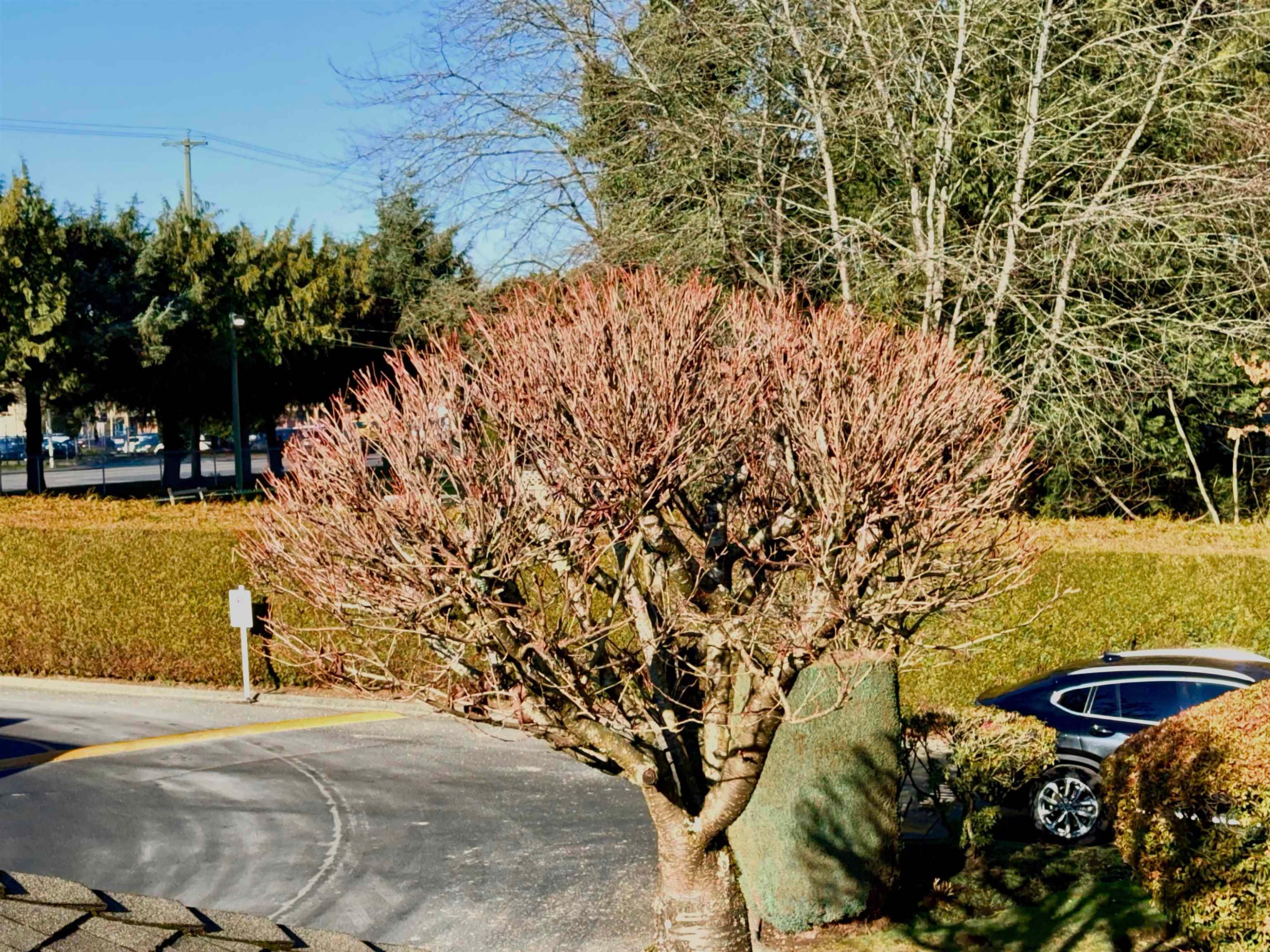 212-9310 King George Highway, Surrey, BC