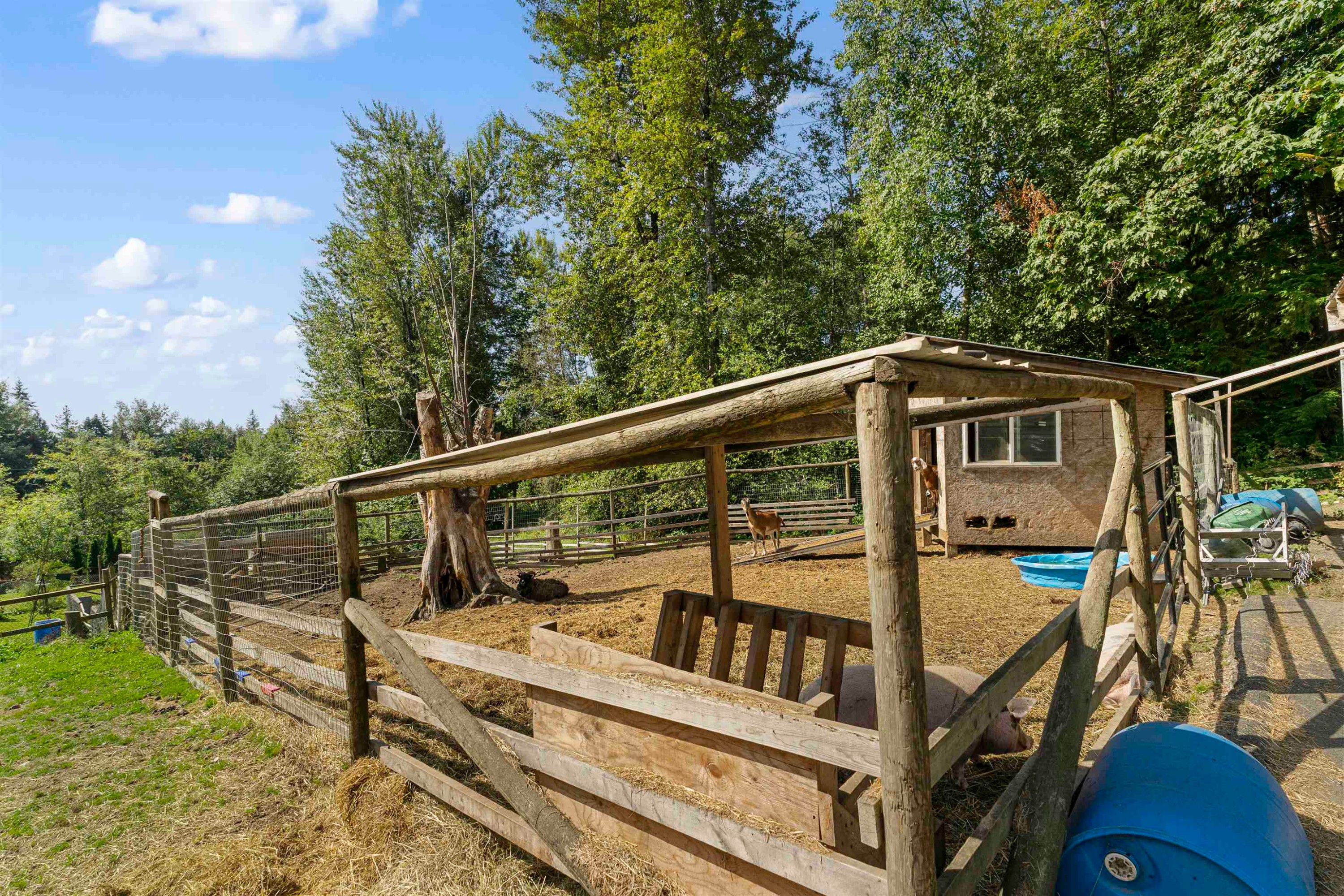 30957 Gunn Avenue, Mission, BC