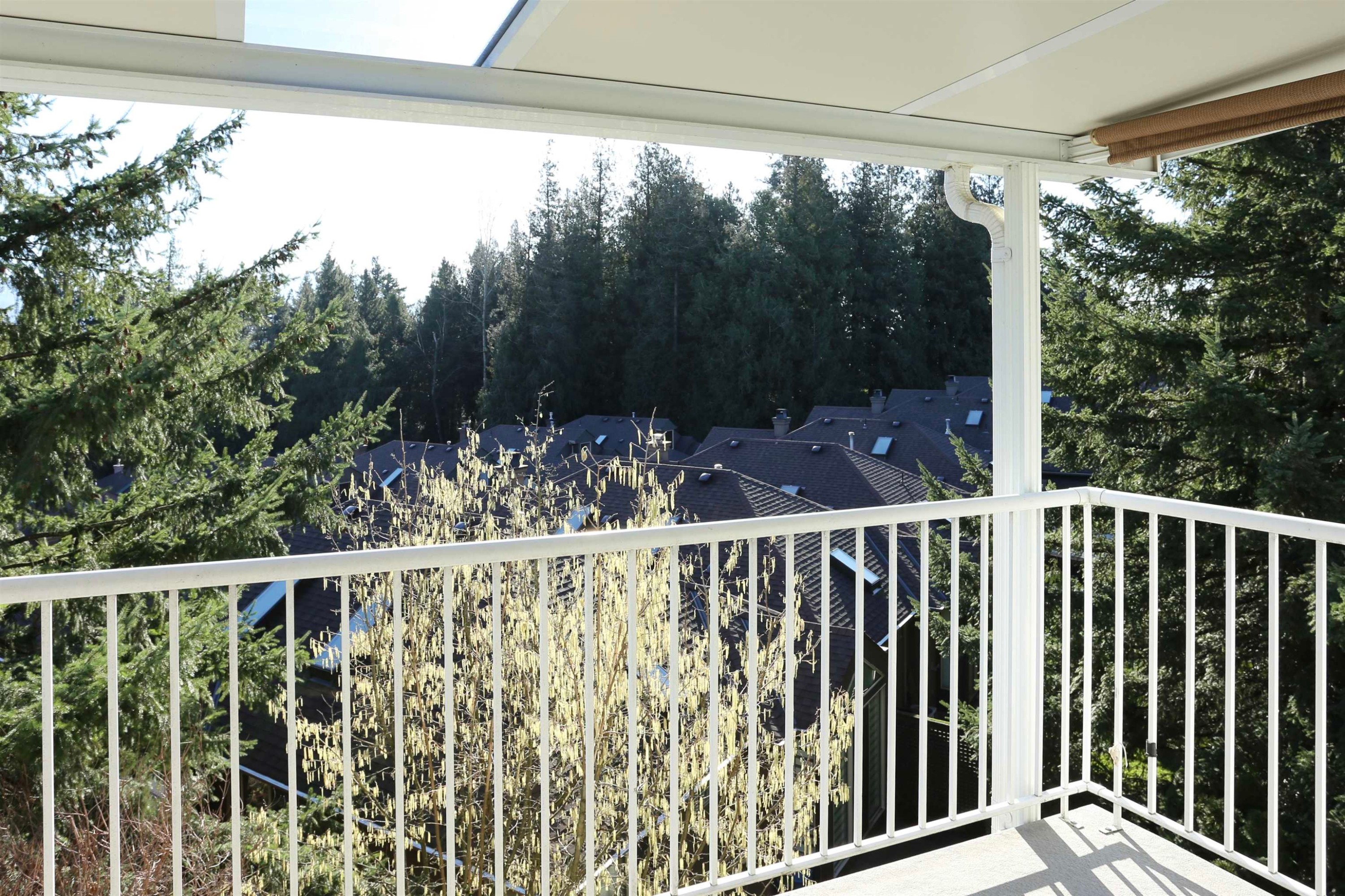 39-2068 Winfield Drive, Abbotsford, BC