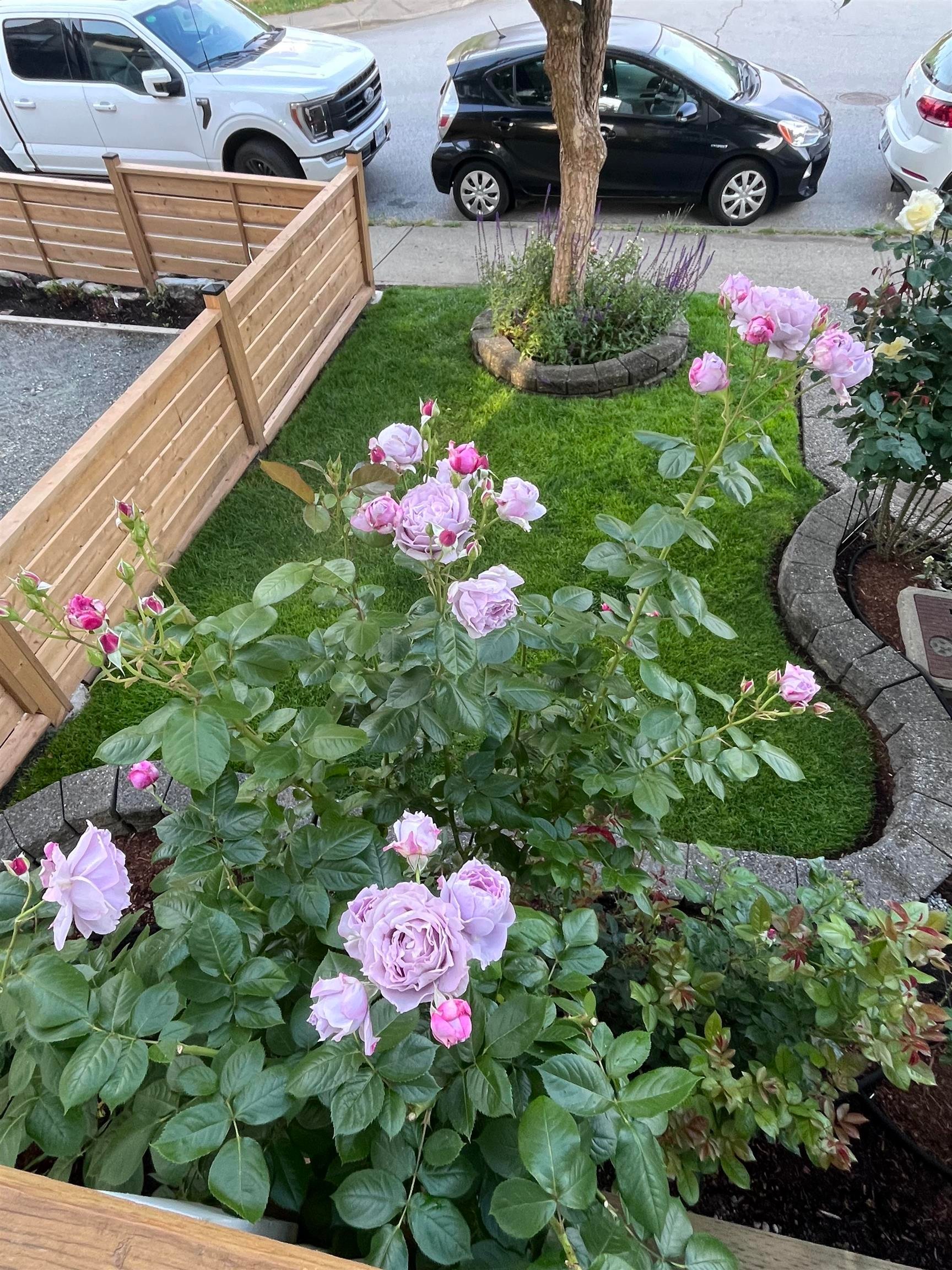 5776 149 Street, Surrey, BC