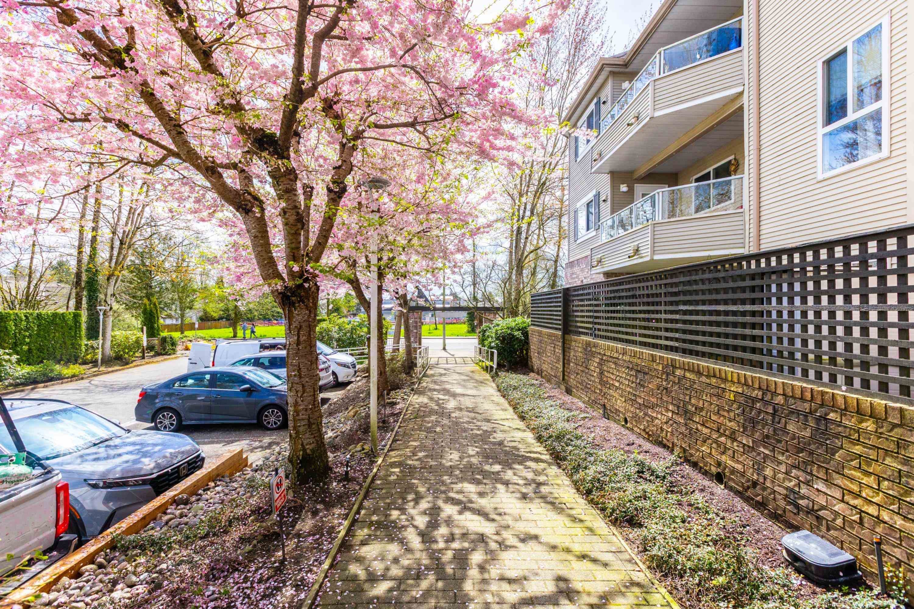 307-16137 83 Avenue, Surrey, BC