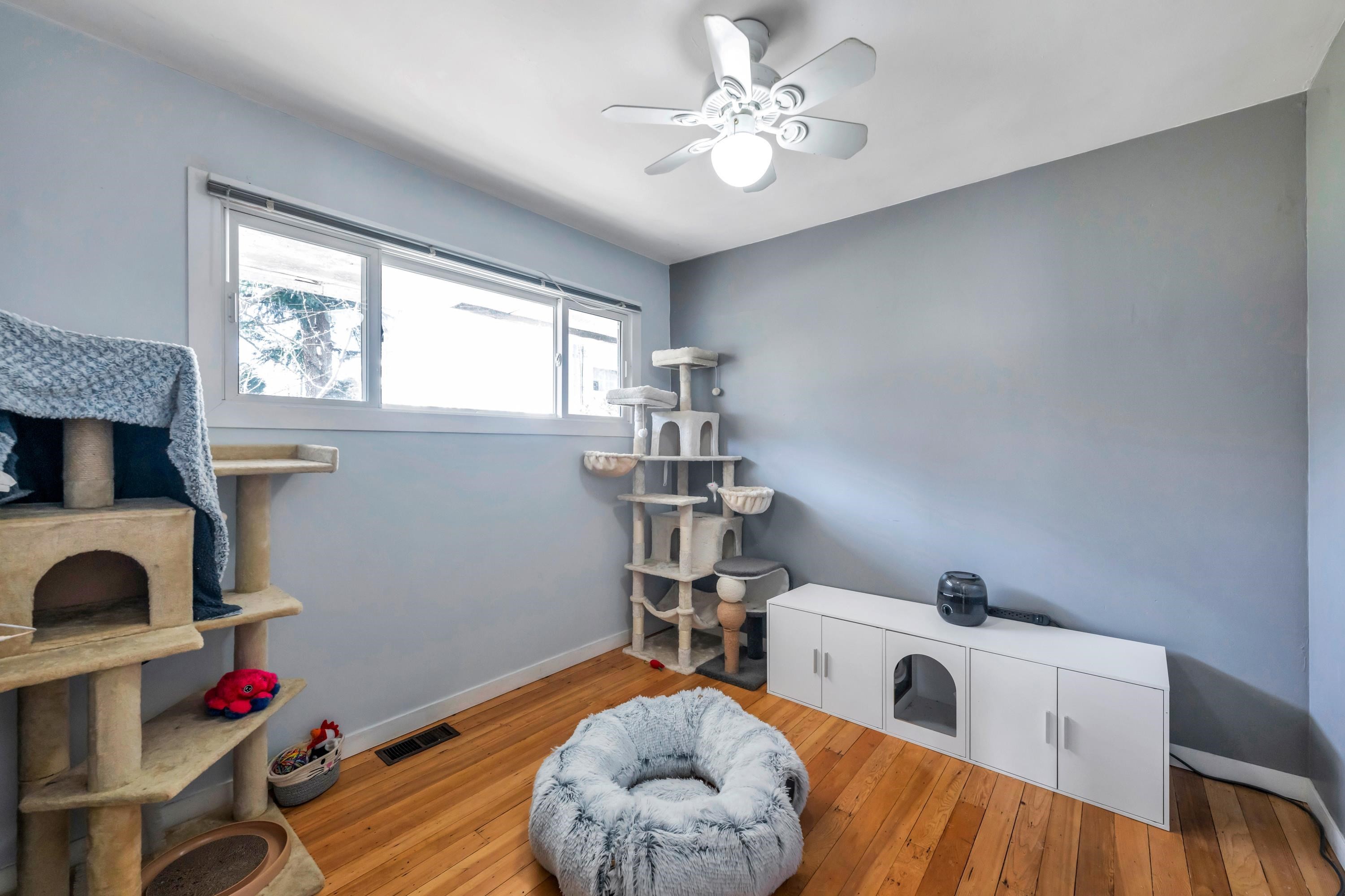 33721 Morey Avenue, Abbotsford, BC