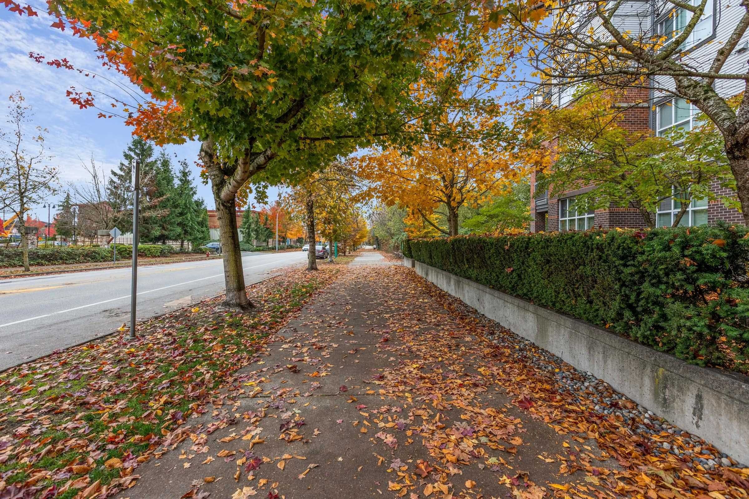 401-18755 68 Avenue, Surrey, BC