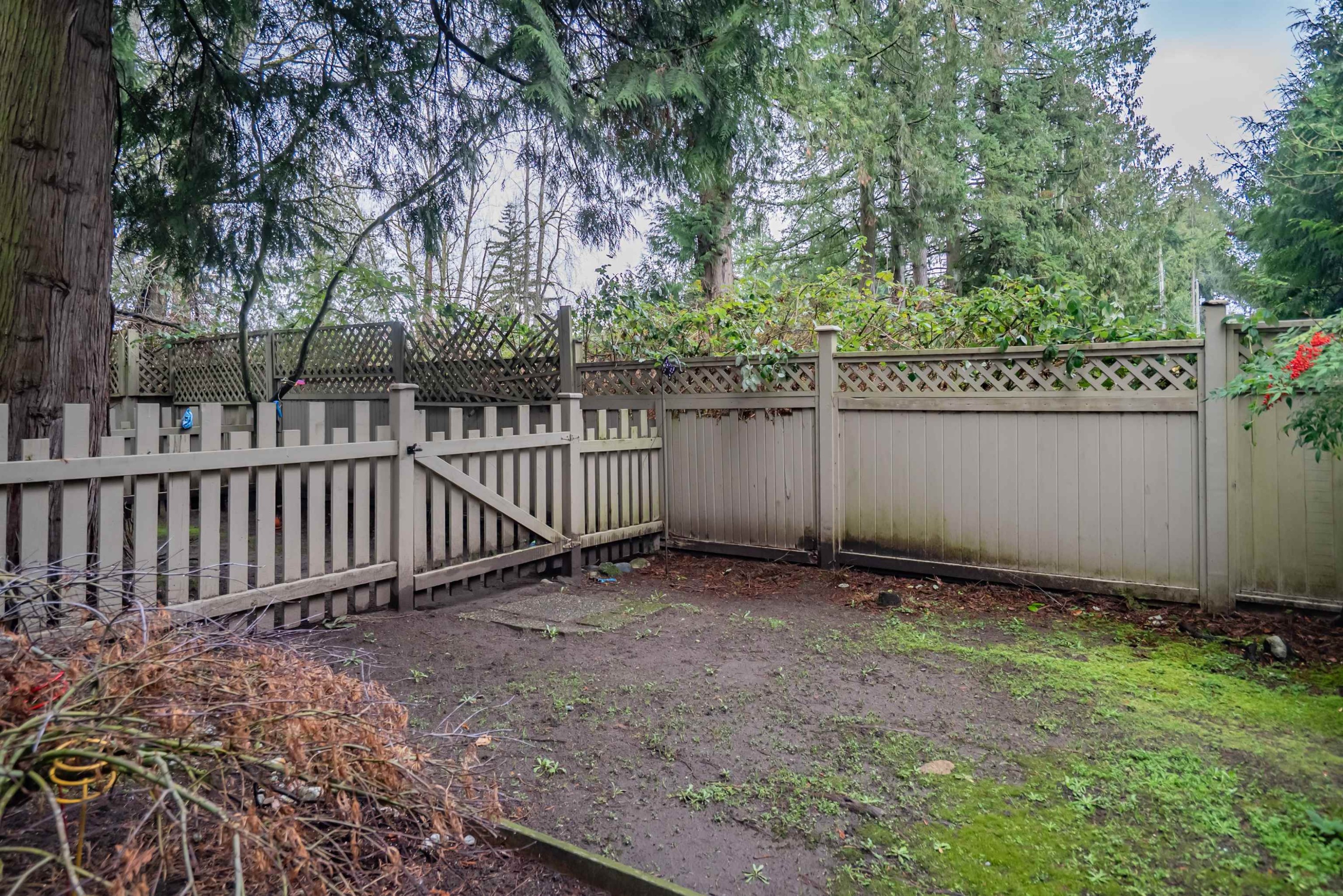 41-12738 66 Avenue, Surrey, BC