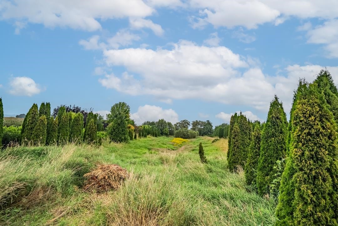 6655 Beharrell Road, Abbotsford, BC