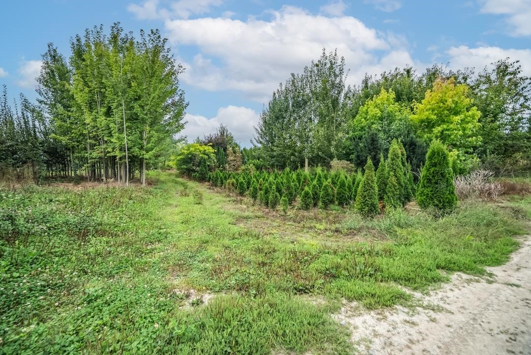 6655 Beharrell Road, Abbotsford, BC