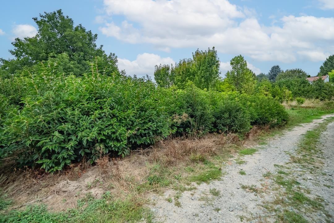 6655 Beharrell Road, Abbotsford, BC