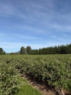8573 River Road SMission, BC V0M 1H0