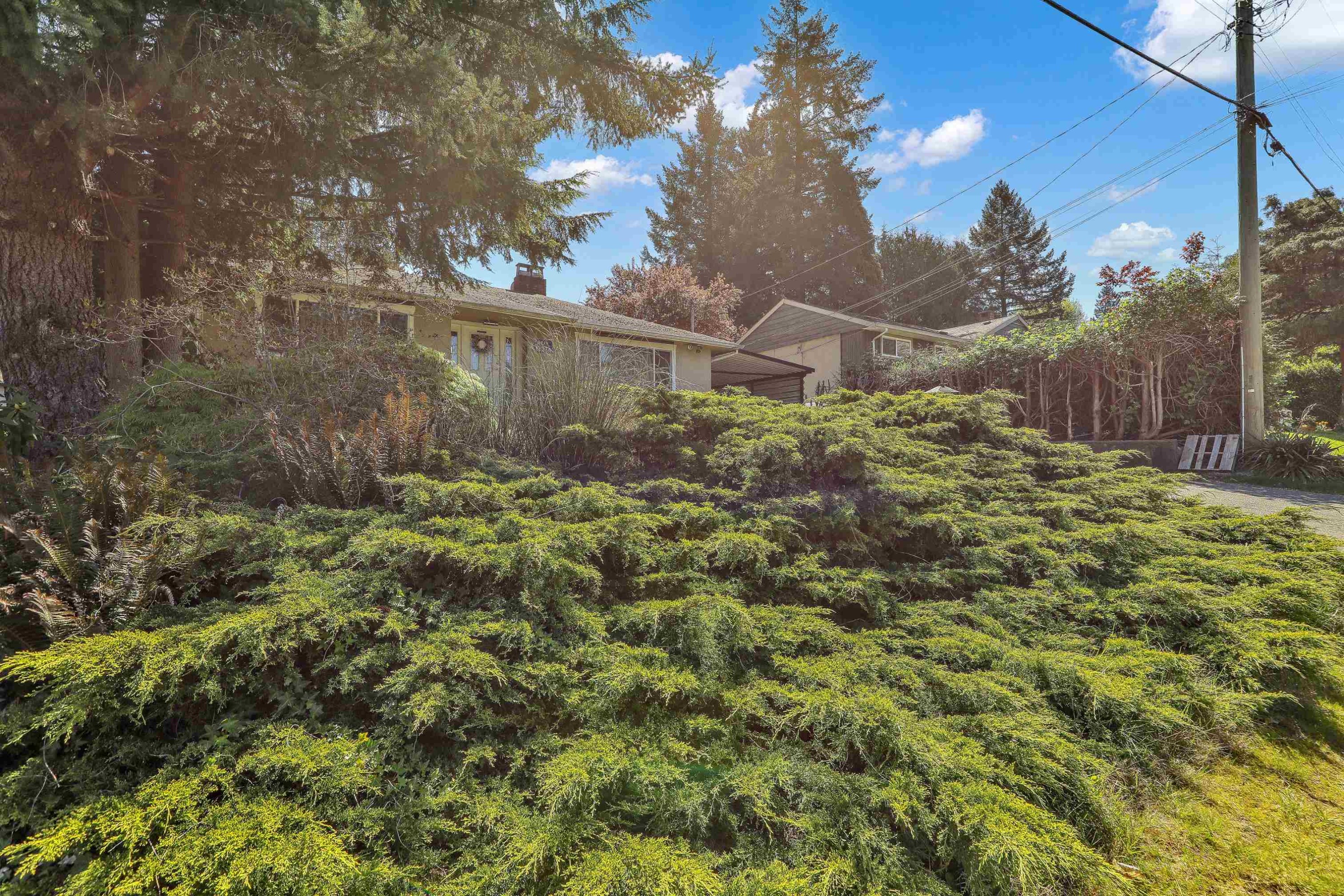 11230 Lansdowne Drive, Surrey, BC