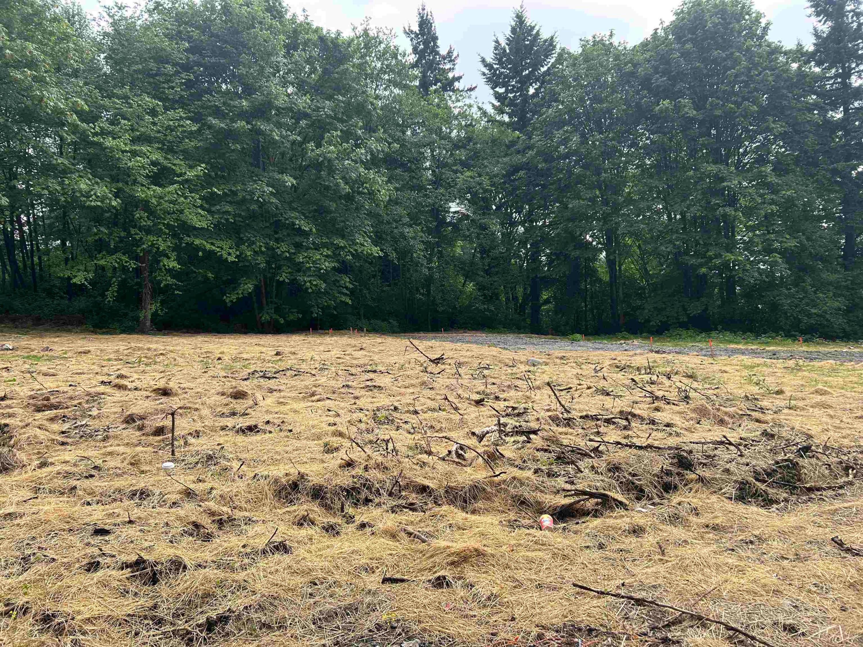 Lt.1-11083 River Road, Delta, BC