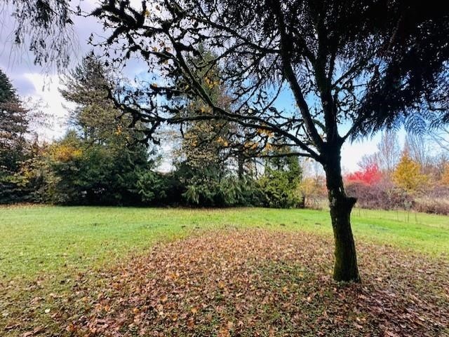 18351 74 Avenue, Surrey, BC