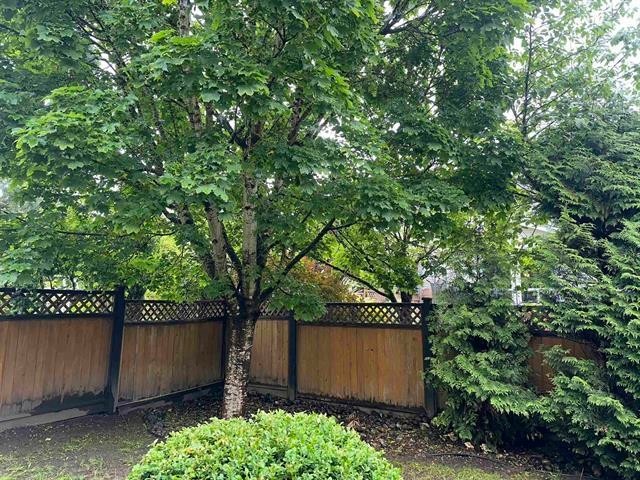 20850 84A Avenue, Langley, BC