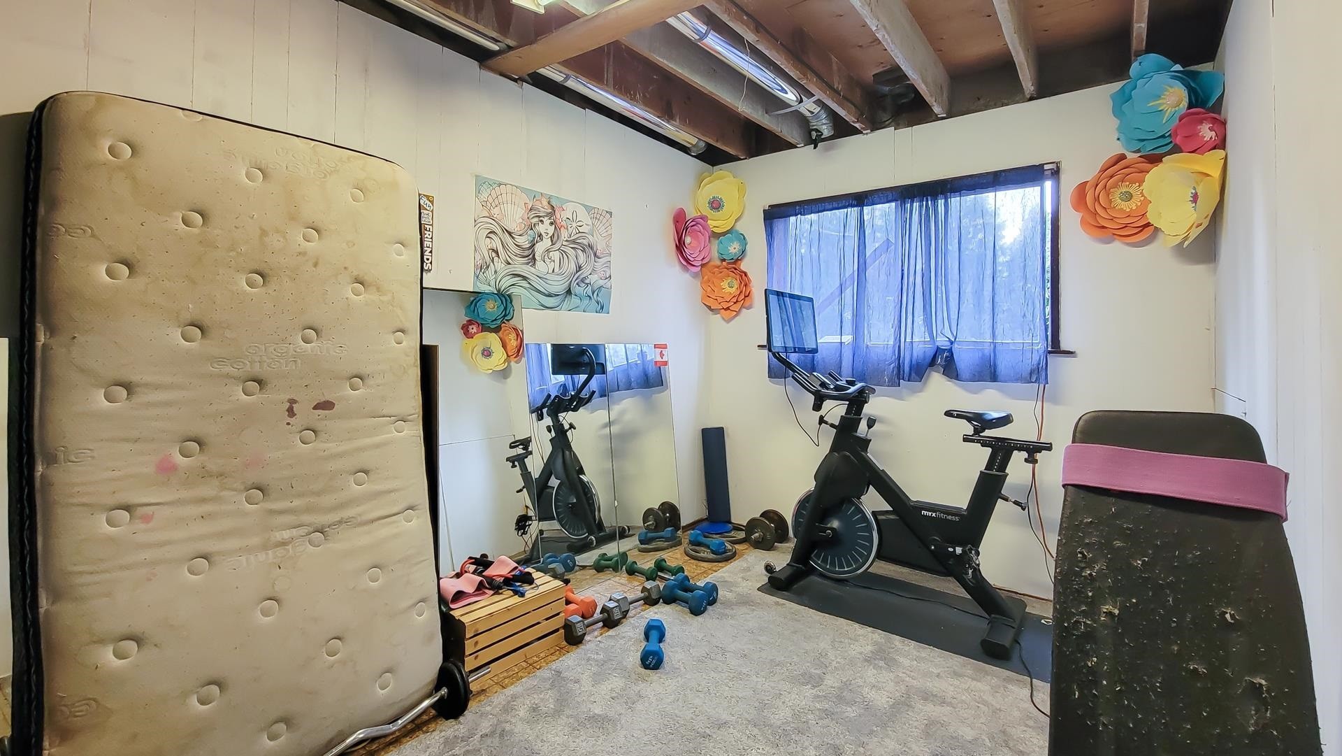 20567 42 Avenue, Langley, BC - Indoor Photo Showing Gym Room