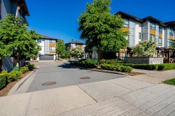 68-8508 204 Street Langley, BC V2Y 0V8