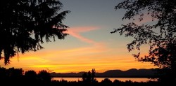 12581 Crescent Road Surrey, BC V4A 2V4