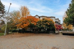 309-8115 121a Street Surrey, BC V3W 1J2
