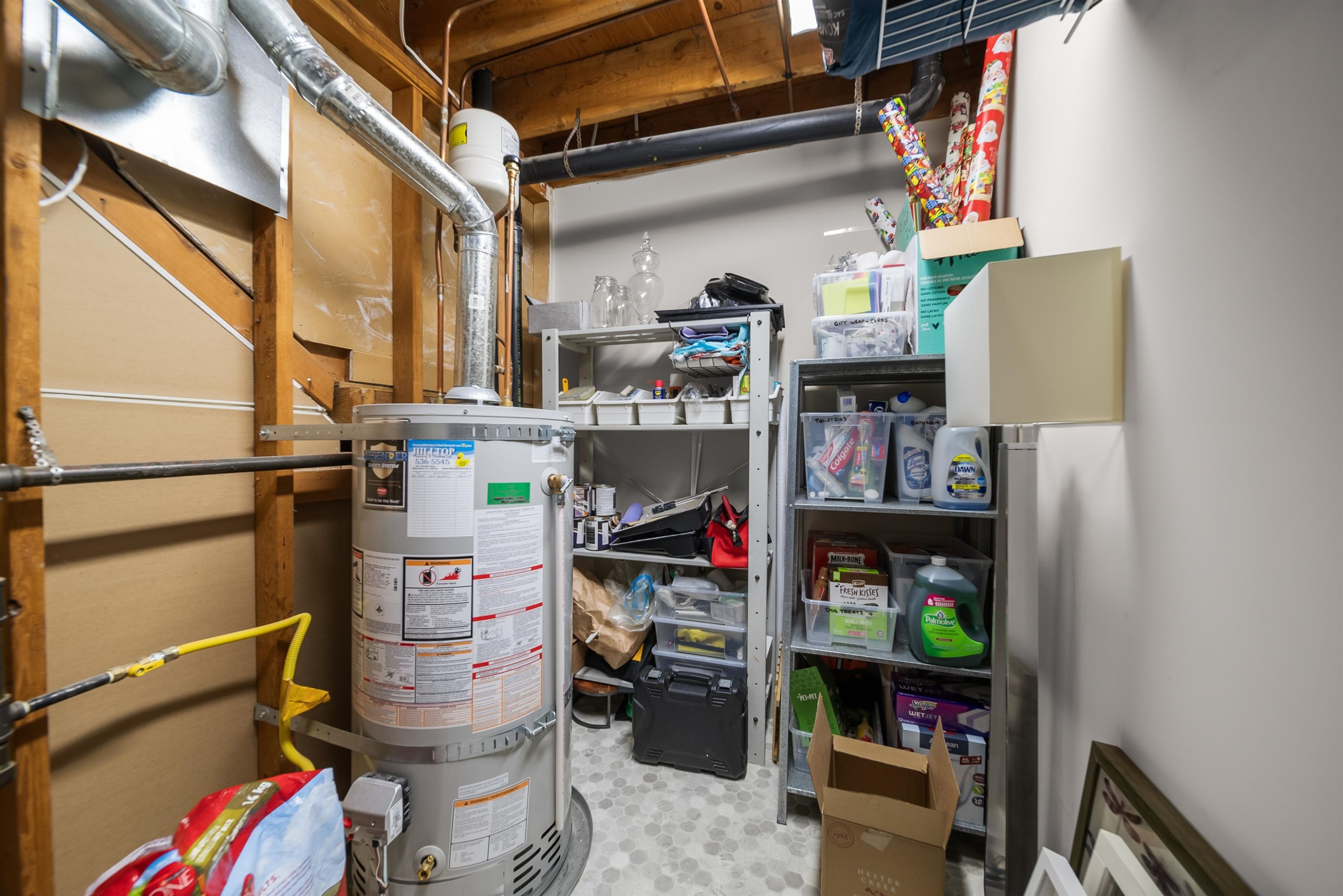 15879 Alder Place, Surrey, BC - Indoor Photo Showing Basement