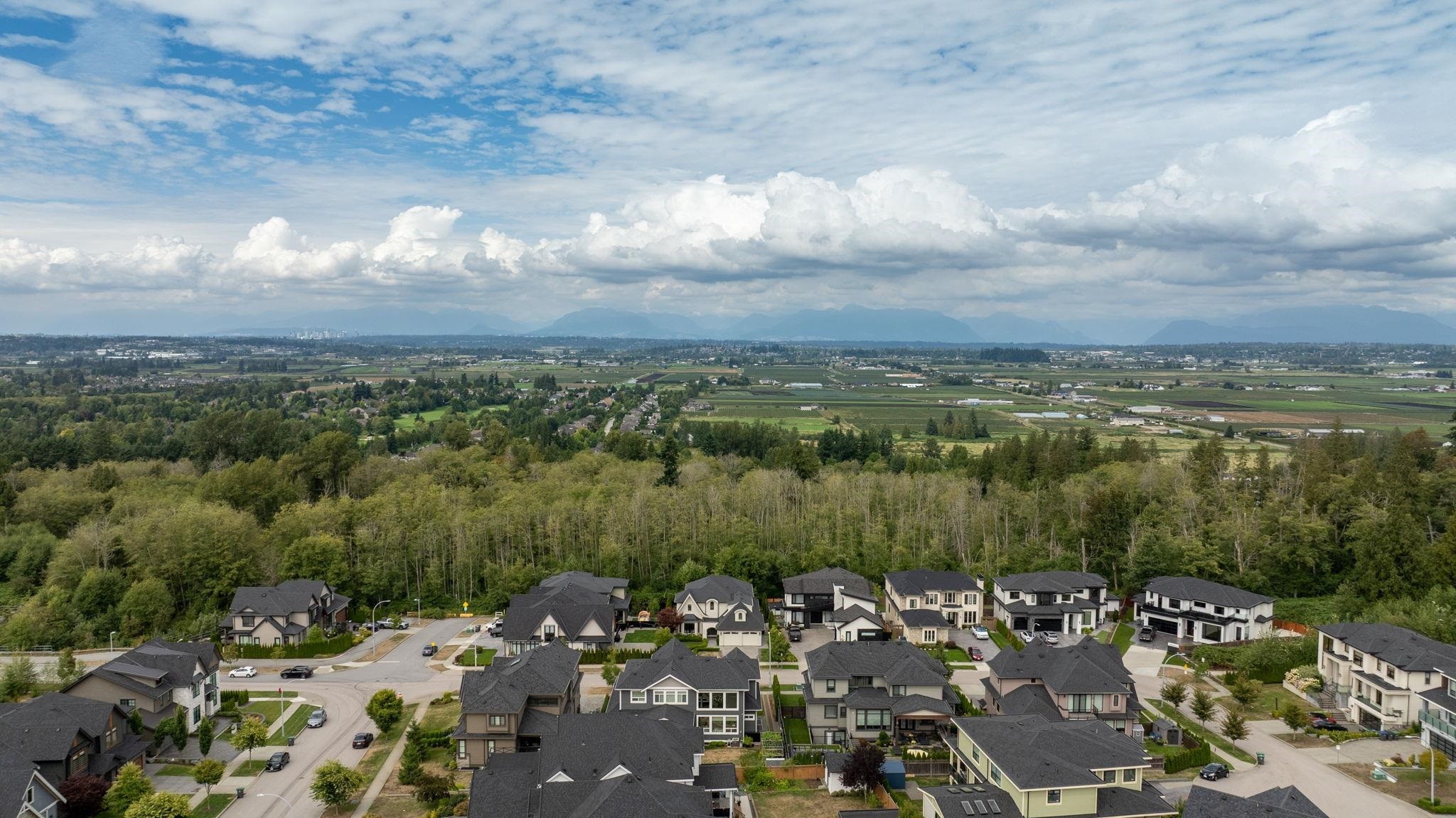 16539 29A Avenue, Surrey, BC - Outdoor With View