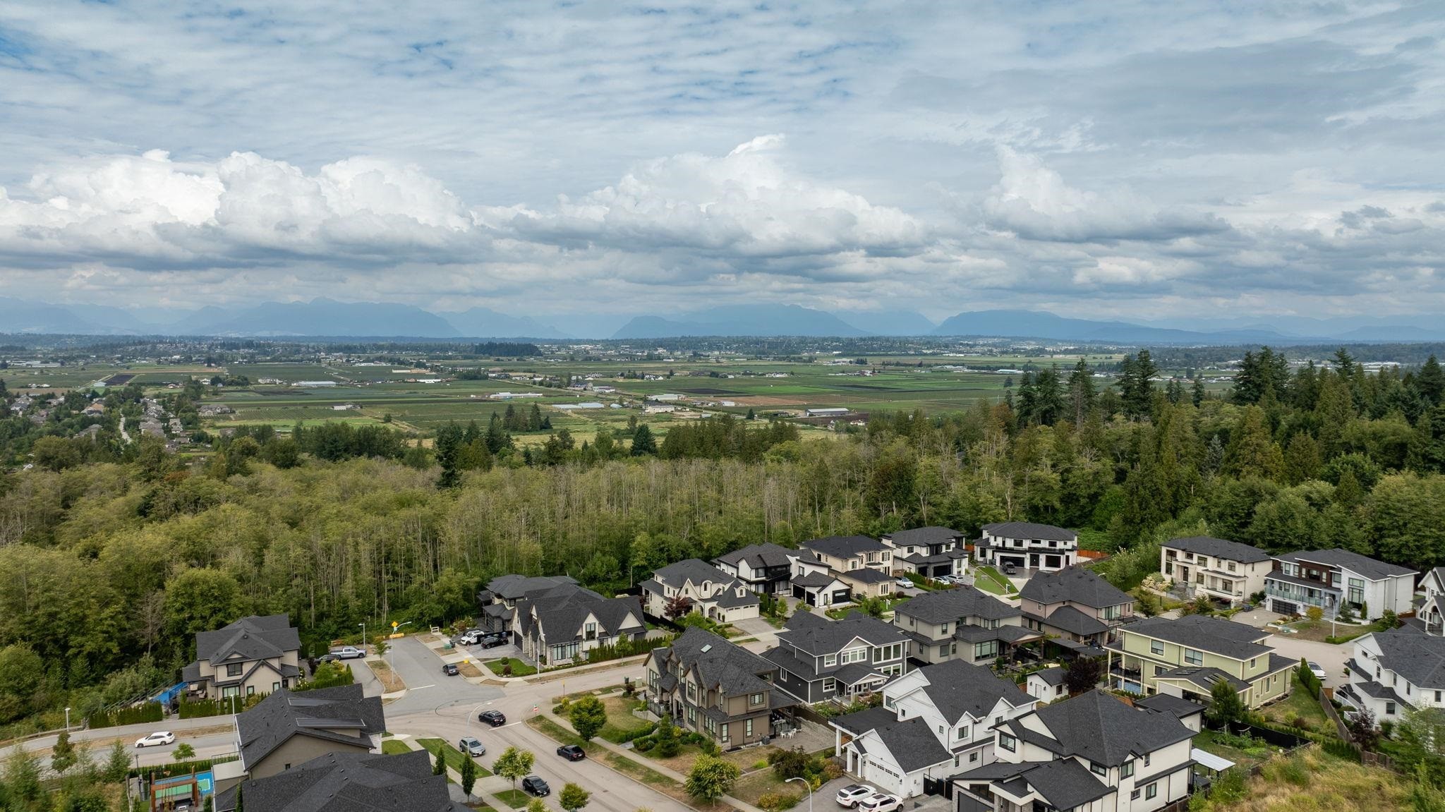 16539 29A Avenue, Surrey, BC - Outdoor With View