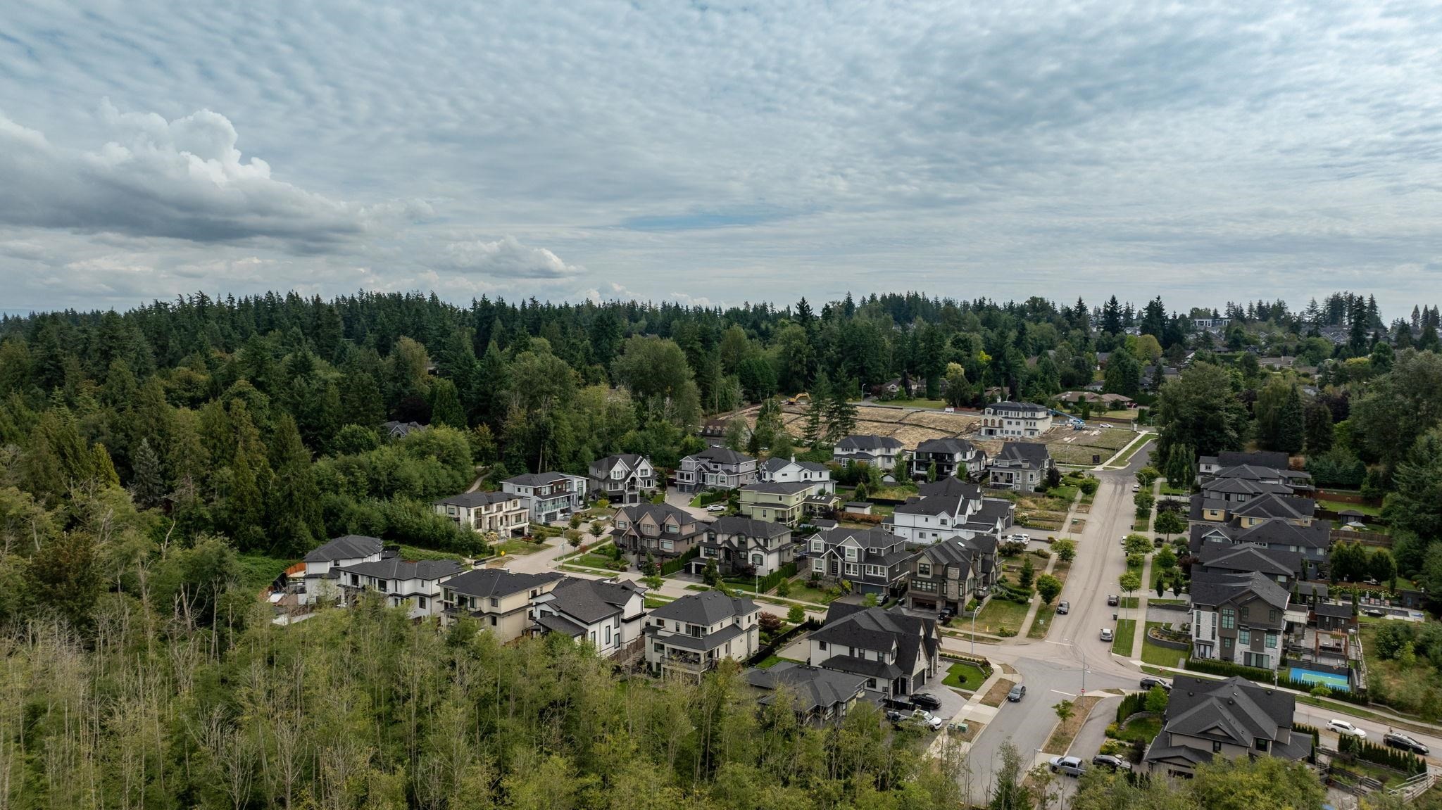 16539 29A Avenue, Surrey, BC - Outdoor With View
