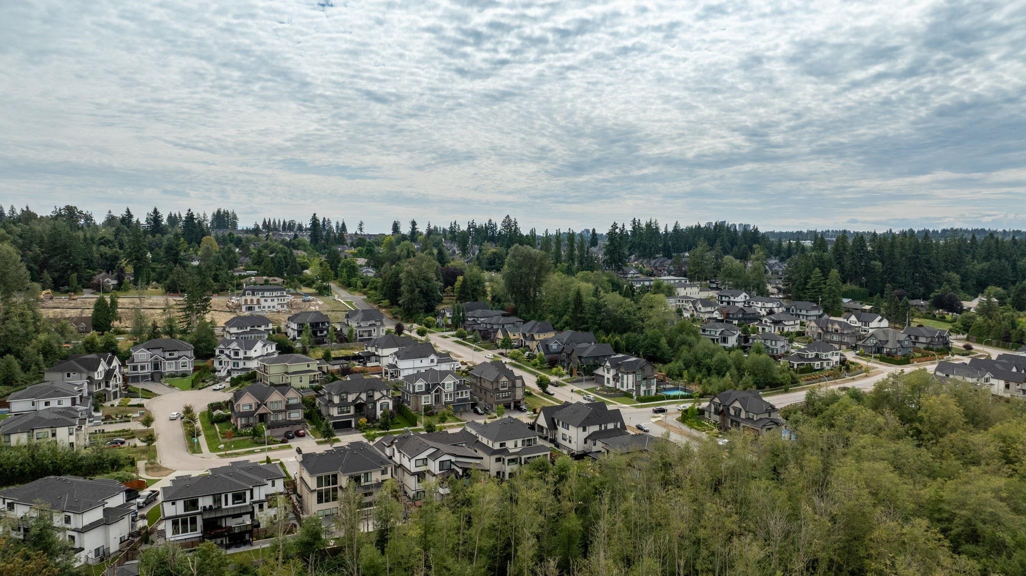 16539 29A Avenue, Surrey, BC - Outdoor With View