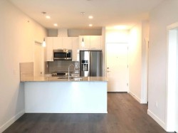 5XX-20686 Eastleigh Cres Langley, BC V3A 4C4