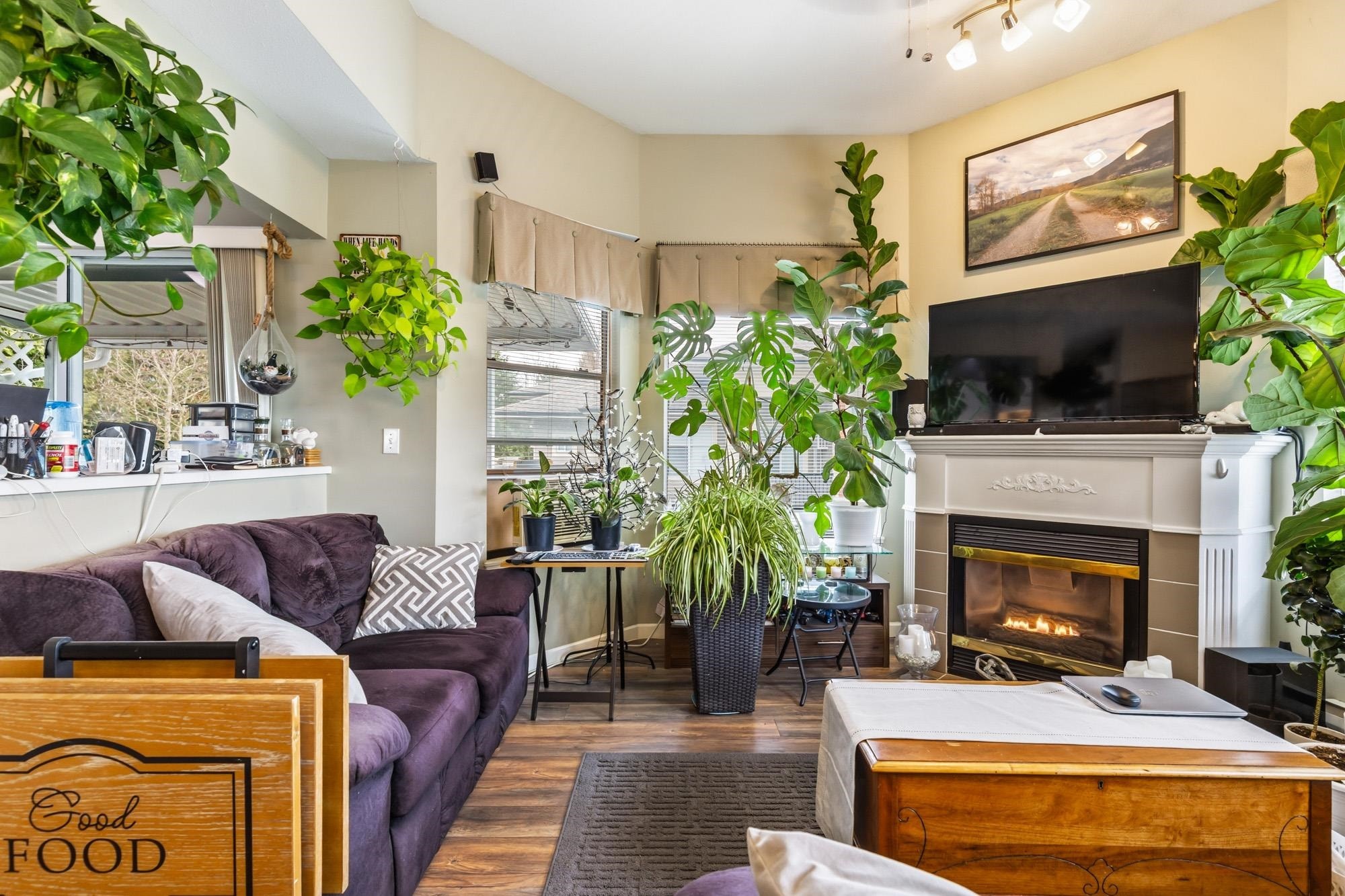 309-7554 Briskham Street, Mission, BC - Indoor Photo Showing Living Room With Fireplace