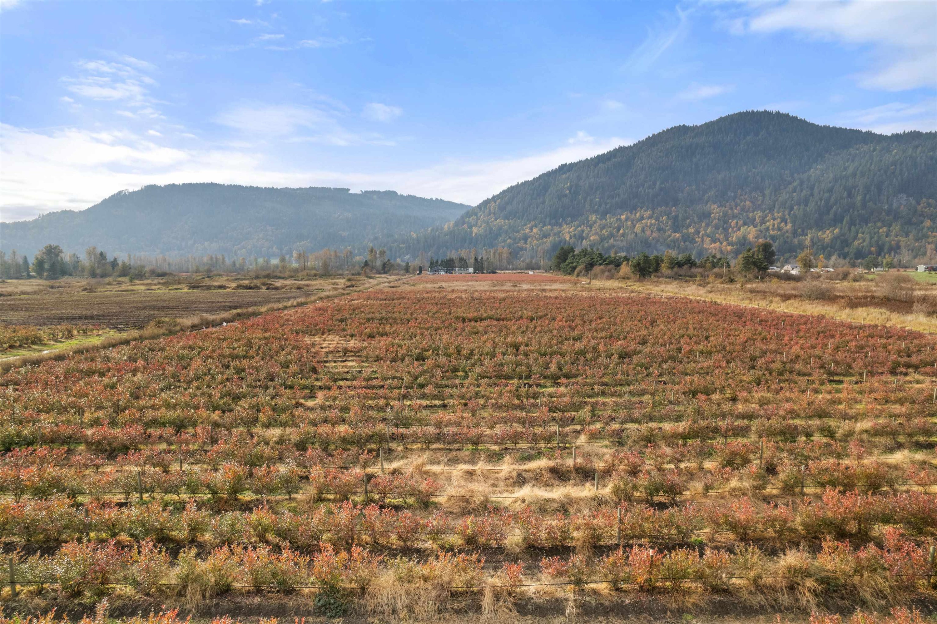 11186 Farms Road, Mission, BC - Outdoor With View