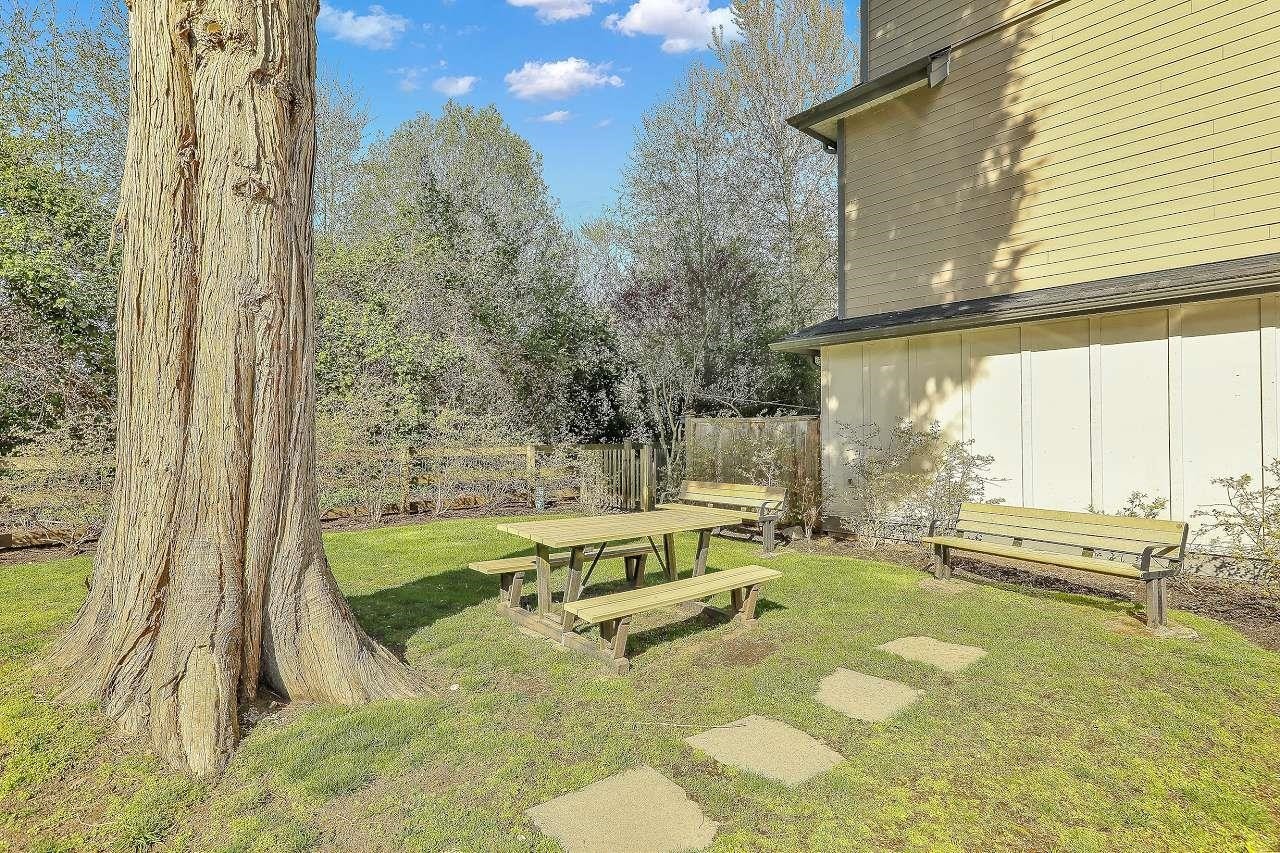 17-6971 122 Street, Surrey, BC - Outdoor