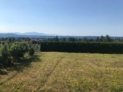 32882 12th Avenue Mission, BC V2V 2M6