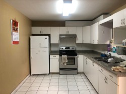 12930 109 Avenue Surrey, BC V3T 2N2