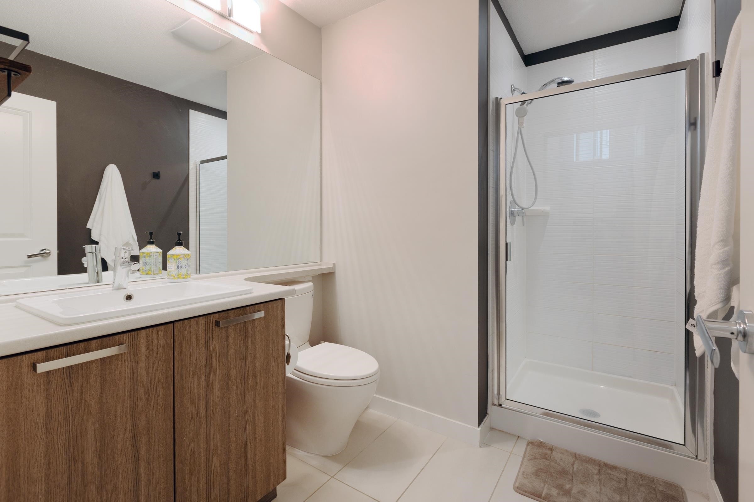 22-10595 Delsom Crescent, Delta, BC - Indoor Photo Showing Bathroom