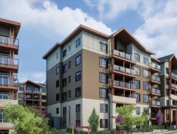 313-11058 132 Street Surrey, BC V3T 3W9