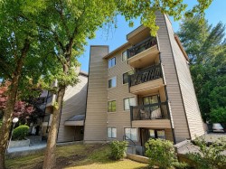 306-10560 154 Street Surrey, BC V3R 8A3