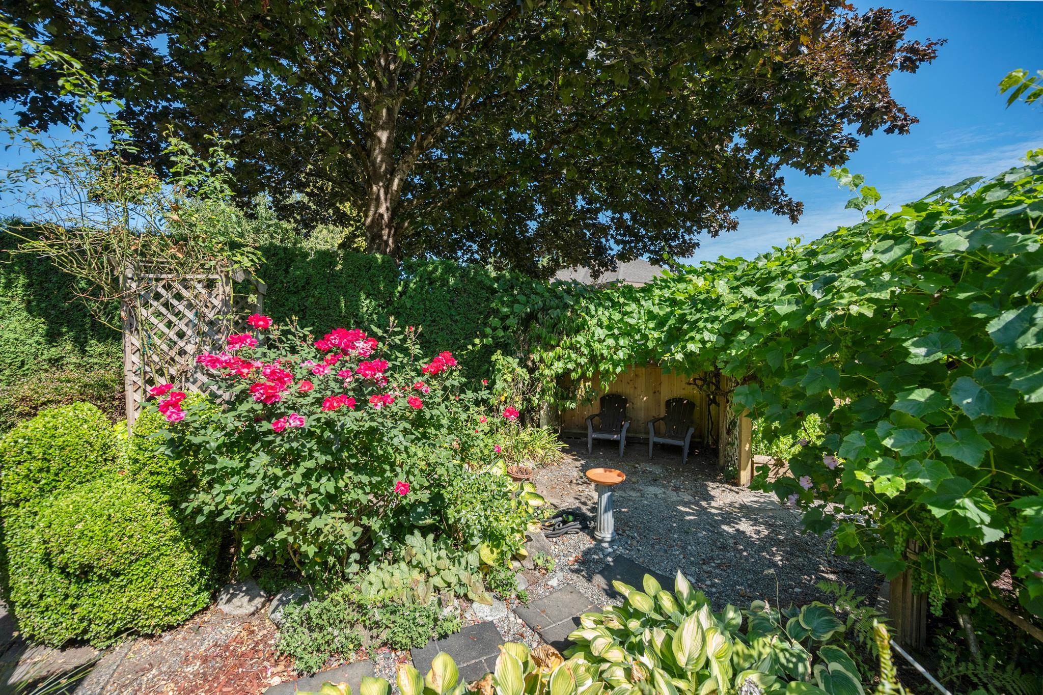 16614 Cherryhill Crescent, Surrey, BC - Outdoor