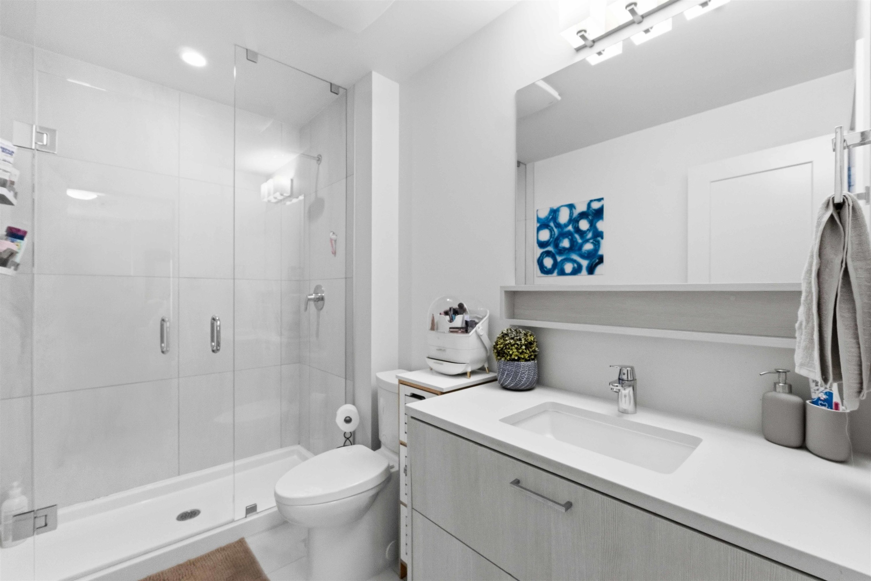 67-9718 161A Street, Surrey, BC - Indoor Photo Showing Bathroom