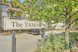 419-12083 92a Avenue Surrey, BC V3V 8C8