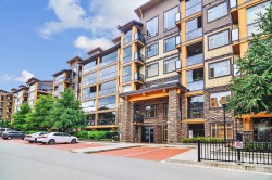 528-8067 207 Street Langley, BC V2Y 0P1