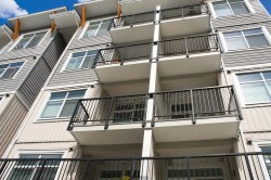 310-19940 Brydon Crescent Langley, BC V3A 0K8