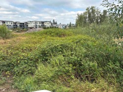 7235 204 Street Langley, BC V2Y 1B1